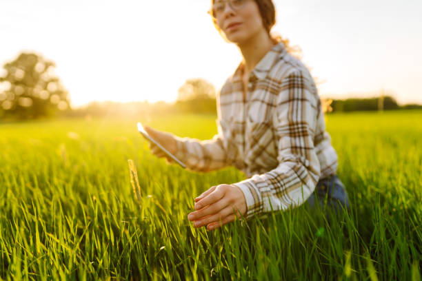 istock Concept of ecology, gardening. 1604825143