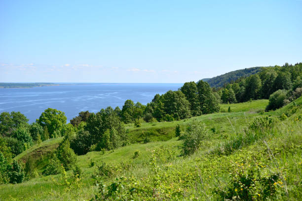 istock hilly coast with green grass and green forest with clear sky copy space 1604858931