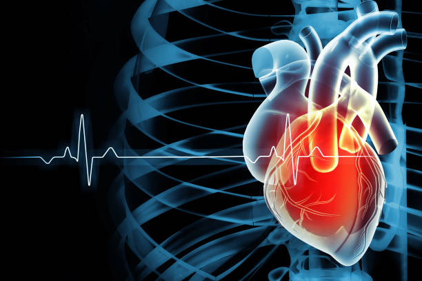istock Human heart on ecg background. 3d illustration 1604863702