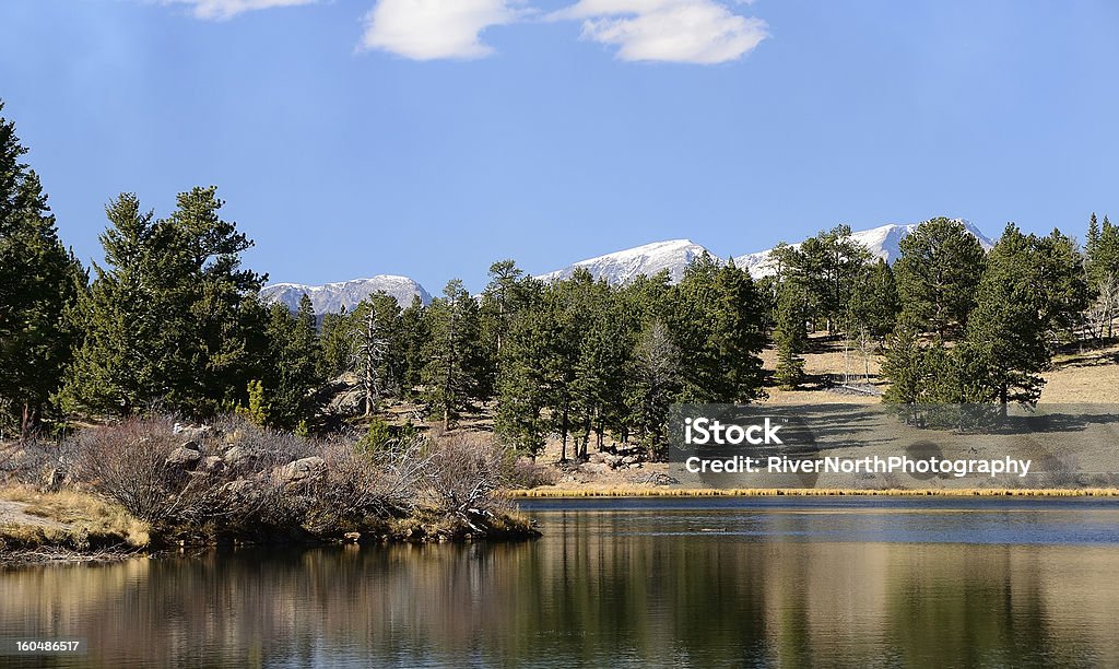 Озеро в горах Колорадо, обсаженный деревьями - Стоковые фото Вода роялти-фри