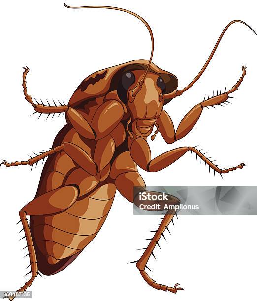 Ilustración de Big Cocroach y más Vectores Libres de Derechos de Cucaracha - Cucaracha, Viñeta, Chinche