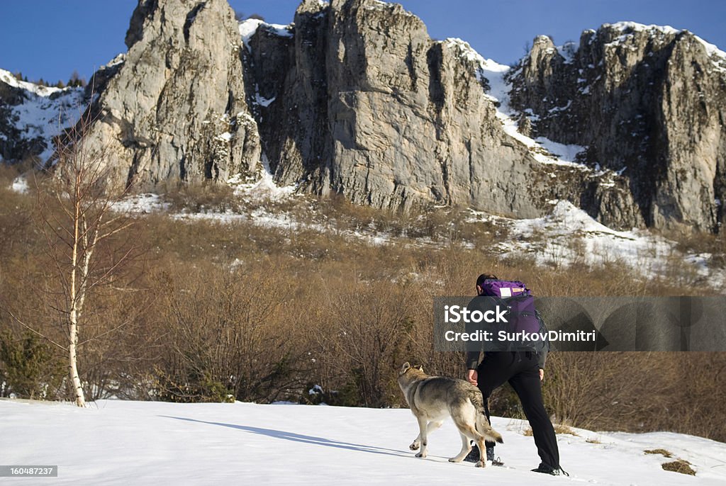 Escursione invernale - Foto stock royalty-free di Lupo