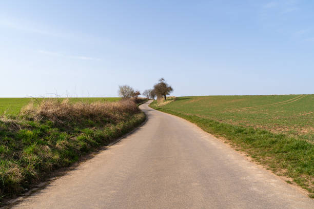 istock Asphalt lane between agriculture fields with grass on a sunny day in spring 1604872874