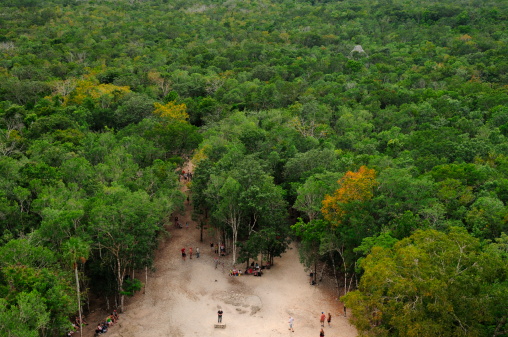 A wide angle view from the Mayan pyramid 'Nohoch Mul' in the jungle with visitors at the bottom. The city dating from 100-1000AD.
