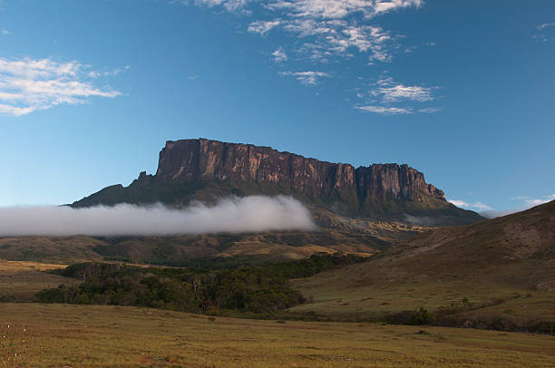 Roraima plateau. Venezuela Roraima plateau. Venezuela mount roraima south america stock pictures, royalty-free photos & images