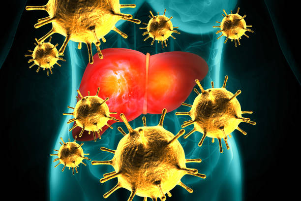 istock Hepatitis virus infection. 3d illustration 1604888596