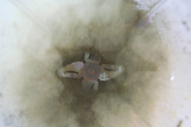 istock Matcha powder in the food processor view from above 1604899459