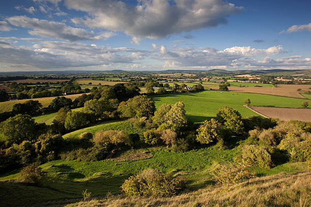 Autumn view over Blackmore Vale, Dorset, UK Looking across the Blackmore Vale from the slopes of Hambledon Hill near Child Okeford, Dorset, UK in autumn blackmore vale stock pictures, royalty-free photos & images