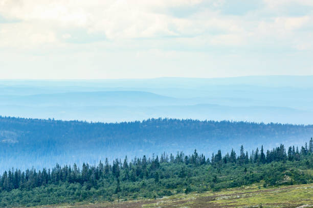 istock View of the valleys and the forest 1604906551