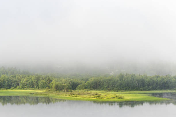 istock Glassy lake with morning fog 1604908203