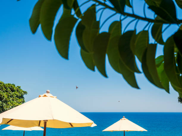 Beach umbrellas stock photo