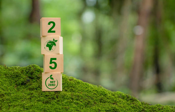 istock Hand puts wooden cubes with net zero icon in 2050 on green background. Net zero by 2050.Net zero greenhouse gas emissions target. Climate neutral long term strategy. No toxic gases. 1604923379