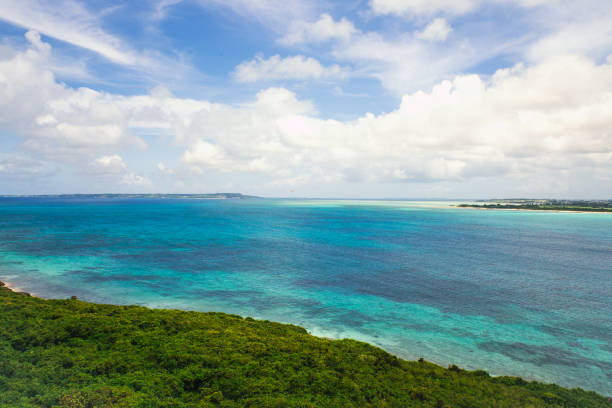 istock Parasailing in the beautiful tropical sea. 1604925675