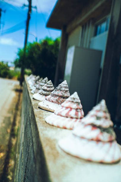 A wall of a house on a small island in Okinawa Prefecture.