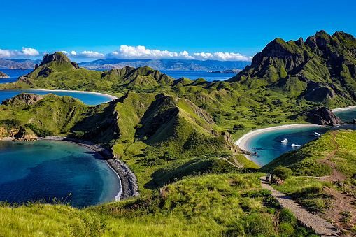 The breathtakingly beautiful landscape on Padar Island is second to none. This island is the perfect place for a scenic hike and spectacular photos. As you ascend one of the many grassy hills, you will be swept away by the surrounding gorgeous green, white and blue hues. The vantage point from the tallest peak will give you a stunning view of four crescent-shaped sparkling beaches and an abundance of photos to make your family and friends green with envy.