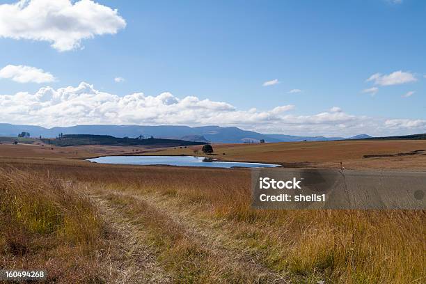 Photo libre de droit de Howick banque d'images et plus d'images libres de droit de Agriculture - Agriculture, Barrage, Chaîne de montagnes