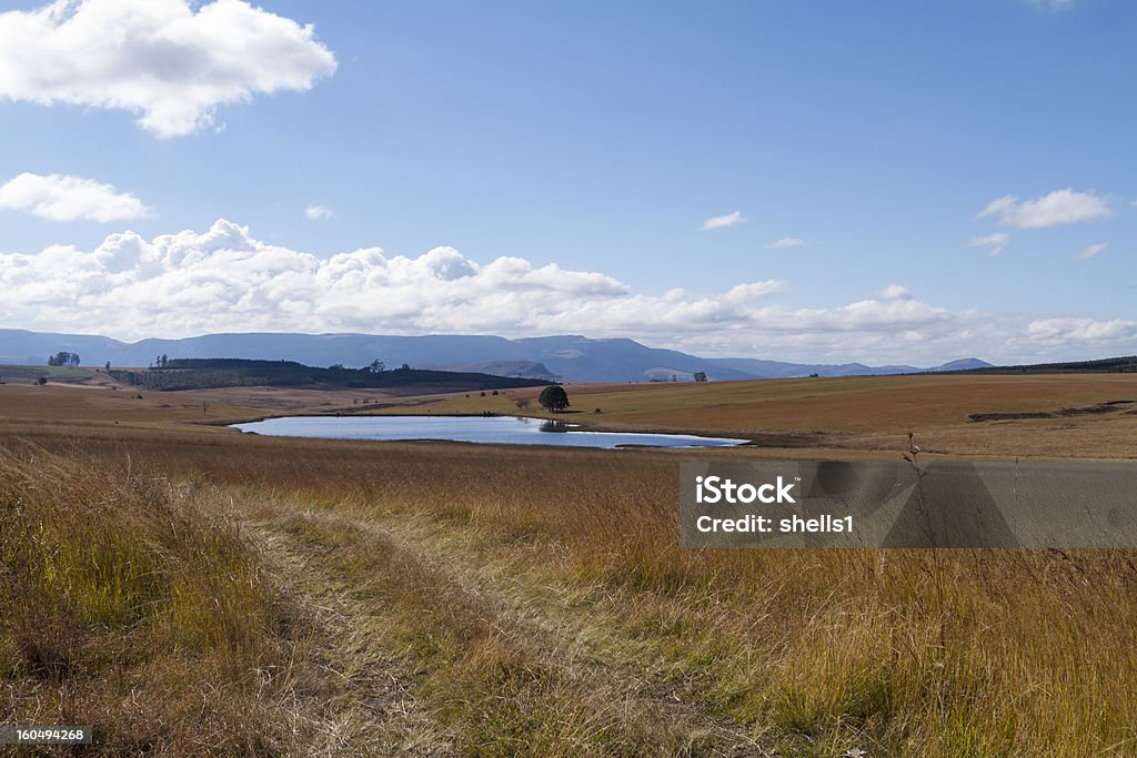 Howick - Foto stock royalty-free di Acqua