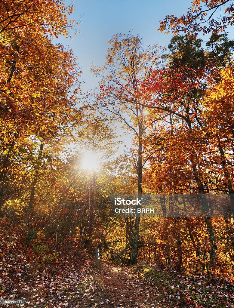 Otoño en Carolina del Norte - Foto de stock de Aire libre libre de derechos