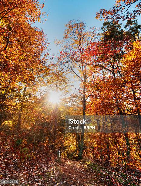 가을맞이 노스 캐롤라이나 0명에 대한 스톡 사진 및 기타 이미지 - 0명, 가을, 나무