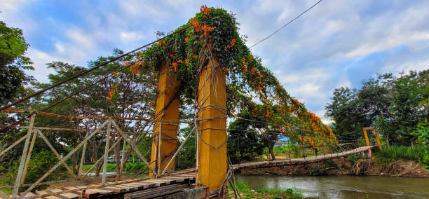 Wooden suspension bridge stock photo