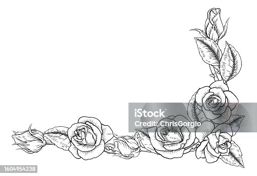 istock Roses Woodcut Vintage Style Flower Corner Design 1604954238