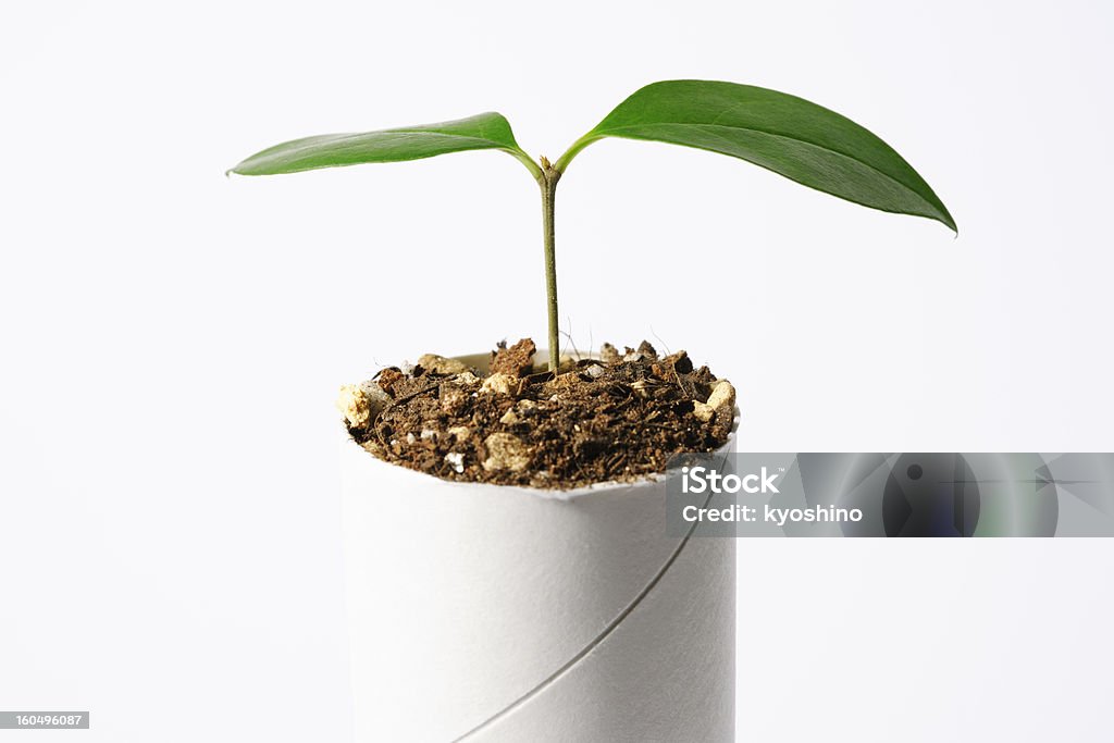 植物およびリサイクル - トイレットペーパーのロイヤリティフリーストックフォト