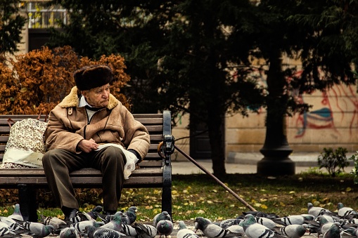 Baku, Azerbaijan – January 20, 2023: An elderly man seated on a park bench surrounded by several pigeons in Baku, Azerbaijan.