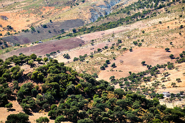 istock charming landscape in Andalucia 160498969