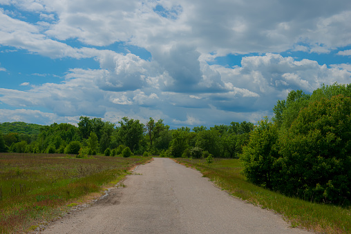 An abandoned road and deciduous forest. Rural landscape.