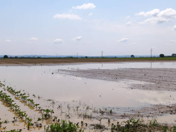 istock flooded agricultural fields due to heavy rains 1605025209