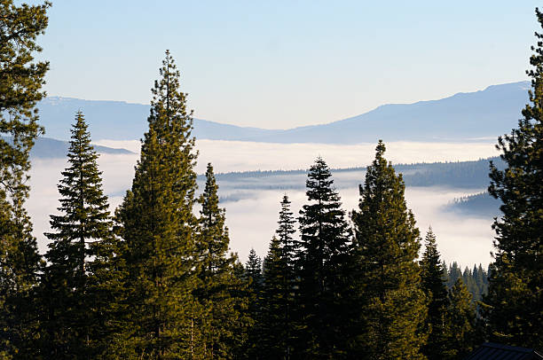 istock Morning Valley Fog 160504625