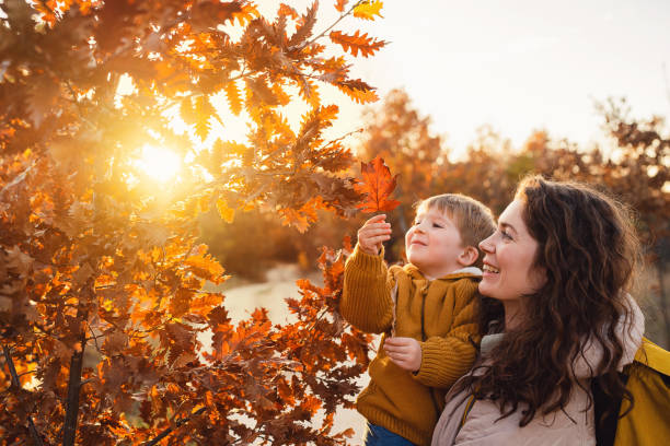 自然の中でのんきな秋の日を楽しむ母と息子 - autumn women smiling leaf ストックフォトと画像