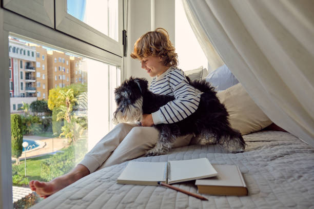 istock Smiling schoolboy embracing purebred dog on bed against window 1605053636