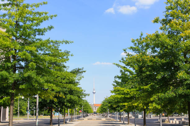 Treelined road and pedestrian walkway in Berlin, Germany. Perspective view with clear blue sky background.