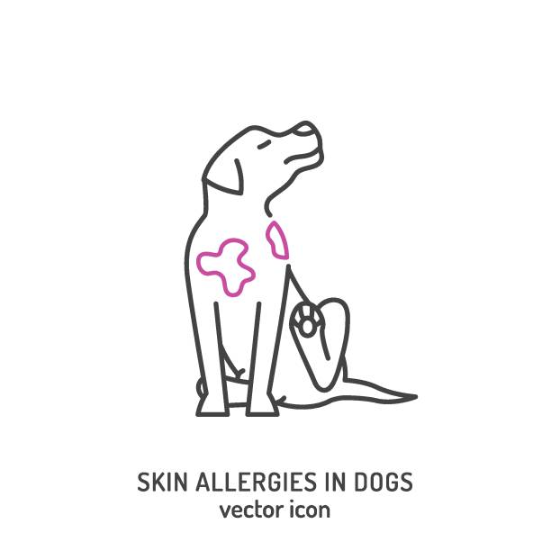 ilustraciones, imágenes clip art, dibujos animados e iconos de stock de icono de problemas de piel del perro. alergias en perros signo. - scratching dog skin condition allergy