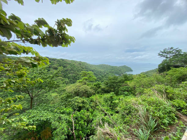 istock Forested mountain top overlooking the sea 1605064959