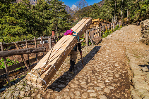 Nepali porter carrying planks of wood to Namche Bazaar in Mount Everest (Sagarmatha) National Park. This is the highest national park in the world, with the entire park located above 3,000 m (  9,700 ft). This park includes three peaks higher than 8,000 m, including Mt Everest. Therefore, most of the park area is very  rugged and steep, with its terrain cut by deep rivers and glaciers. Unlike other parks in the plain areas, this park can be  divided into four climate zones because of the rising altitude.
