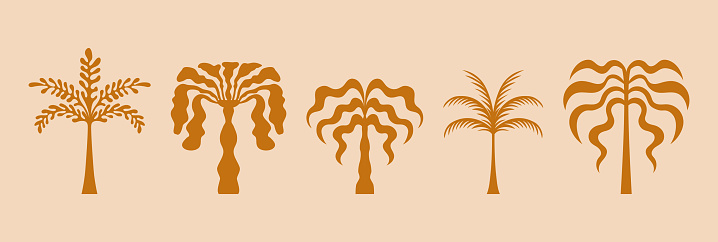 Vector logo and print design templates, summer palms, tropical hand drawn illustrations, tropical surfing concept, vacation and travel, palm trees and hippie boho elements