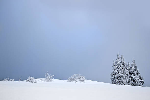 graphic uncluttered image Vosges, France