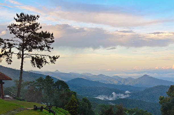 ponto de vista do parque nacional. huai nam dang. tailândia. - kesiya imagens e fotografias de stock