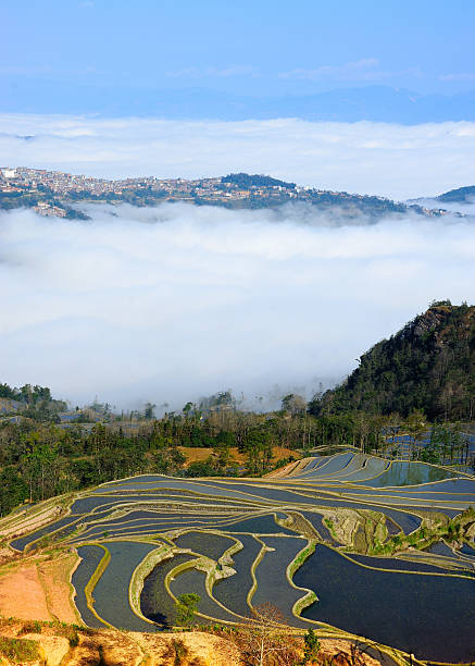 miasto i tarasy - agriculture artificial yunnan province china zdjęcia i obrazy z banku zdjęć