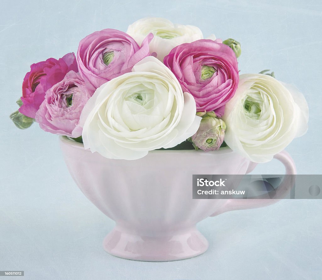 Ranúnculo flores en una rosa cup - Foto de stock de Anticuado libre de derechos