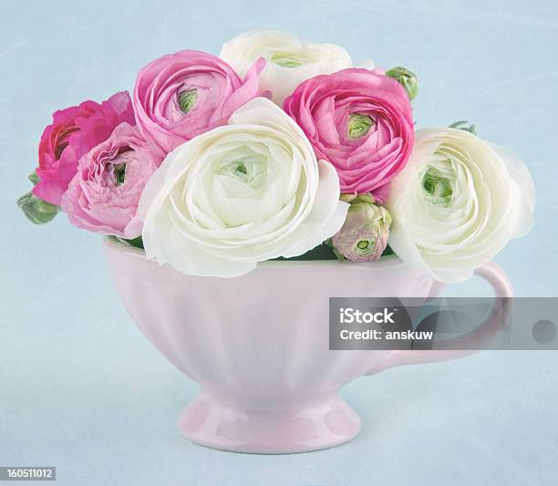 Ranúnculo Flores En Una Rosa Cup Foto de stock y más banco de imágenes de Anticuado - Anticuado, Azul, Azul celeste