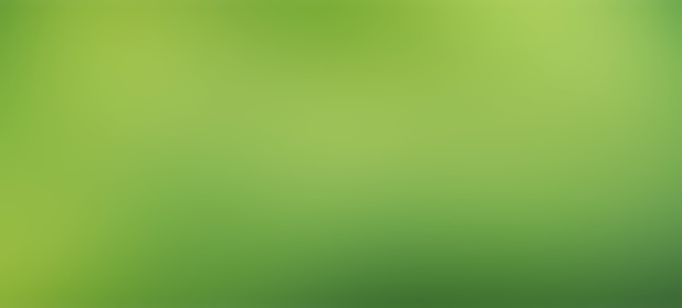 Abstract panoramic green gradations background with copy space for text