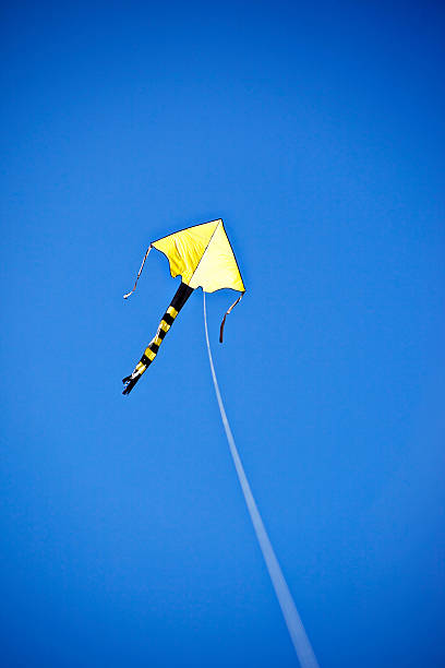 cerf-volant dans le ciel bleu - clear sky vacations vertical saturated color photos et images de collection