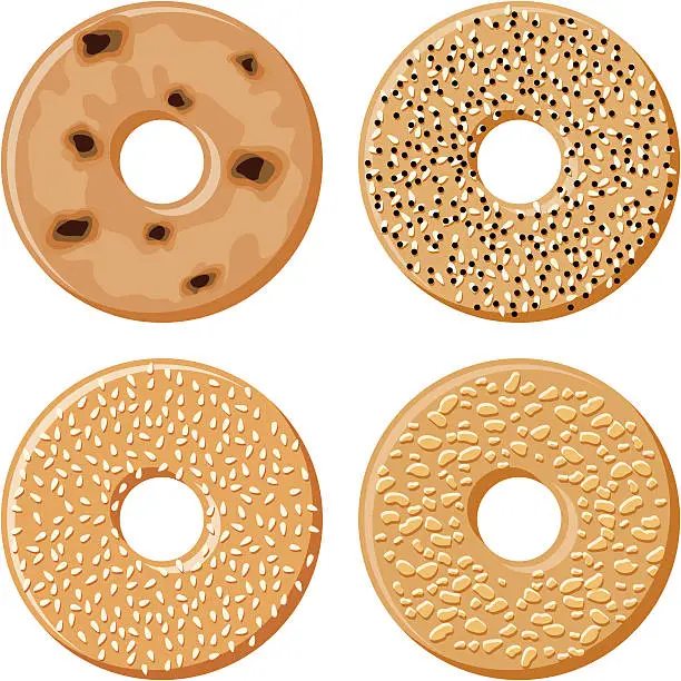 Vector illustration of Four Bagels