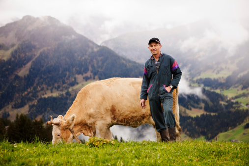 A Swiss dairy farmer and his prize cow standing in a green pasture in the Swiss Alps. Lenk Lypse 2012