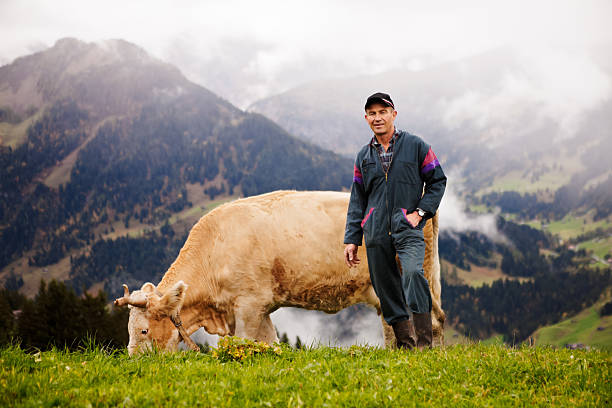 Swiss Dairy Farmer and His Prize Cow stock photo