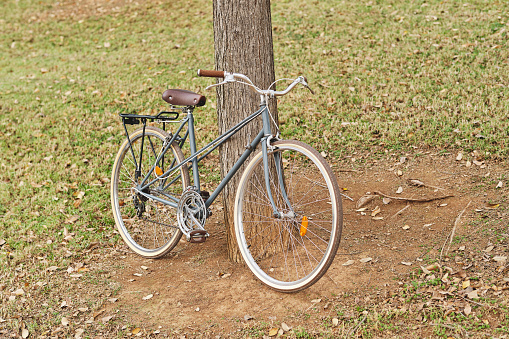 Old fashioned bicycle parked near tree trunk in urban garden during autumn day