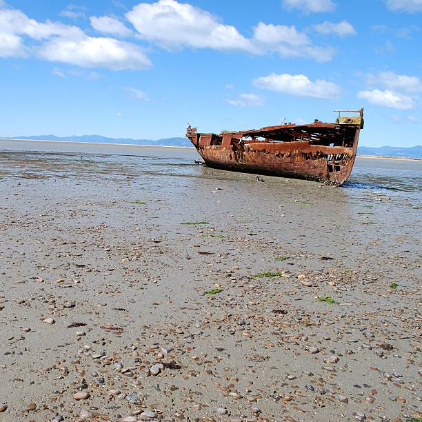 istock Janie Seddon Shipwreck, Motueka, NZ 160513521